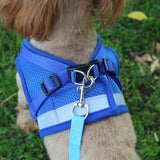 Pet Harness