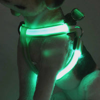 Rechargeable LED Nylon Pet Harness