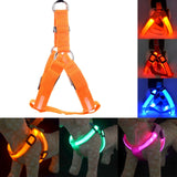 Rechargeable LED Nylon Pet Harness