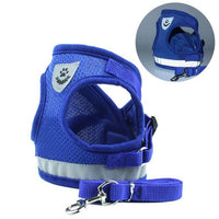 Pet Harness