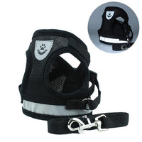 Pet Harness