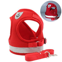 Pet Harness