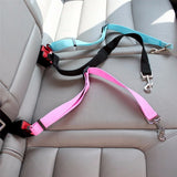 Pet Seatbelt Accessory